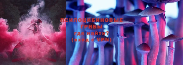 МДПВ Навашино