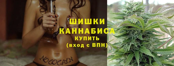 стаф Нея