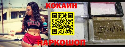 шишки Изобильный
