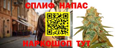 шишки Изобильный