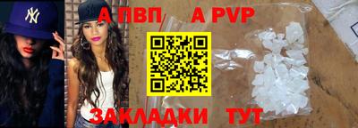 шишки Изобильный