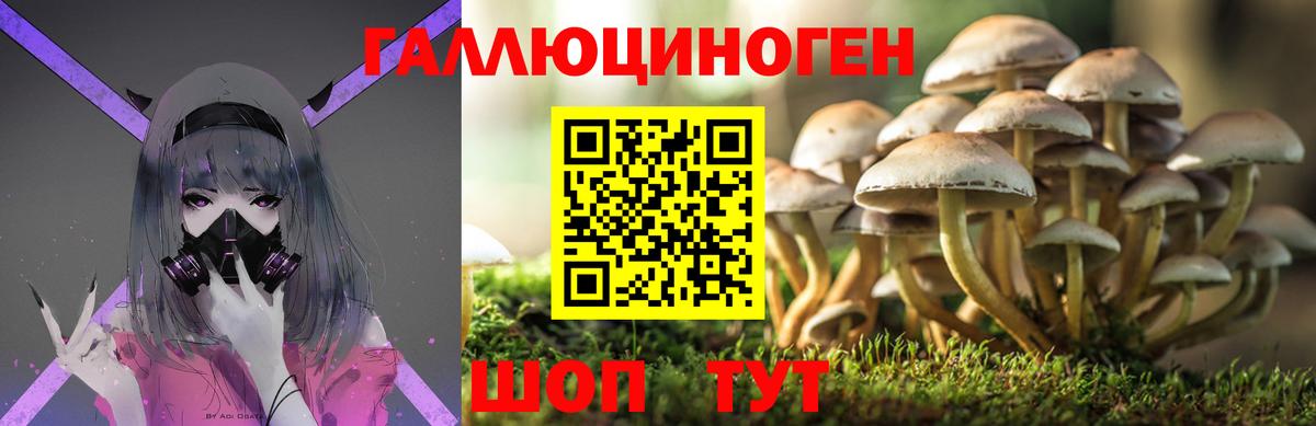 Псилоцибиновые грибы прущие грибы  Вход с VPN  где можно купить наркотик  Псилоцибиновые грибы Psilocybe  Карталы 