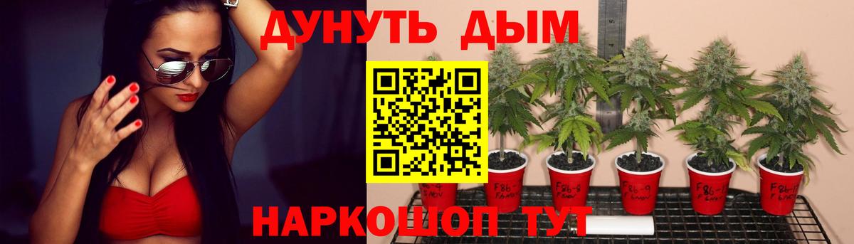Шишки марихуана VHQ Карталы